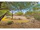 Expansive backyard with desert landscaping, gravel, cacti, and trees offering shade and natural beauty at 4185 W Arby Ave, Las Vegas, NV 89118