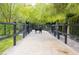 A lovely outdoor space featuring an equestrian animal within a fenced area amid trees at 2323 Pinto Ln, Las Vegas, NV 89107