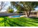 Lush backyard with artificial turf, mature tree, and a sparkling in-ground pool perfect for outdoor relaxation at 2617 Mason Ave, Las Vegas, NV 89102
