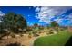 Artificial turf putting green surrounded by desert landscaping at 4844 E Cactus Canyon Dr, Pahrump, NV 89061