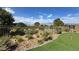 Beautiful backyard featuring artificial grass, desert landscaping and a view of the golf course at 4844 E Cactus Canyon Dr, Pahrump, NV 89061