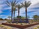 The Ovation community sign, surrounded by desert landscaping and palm trees under a blue sky at 4844 E Cactus Canyon Dr, Pahrump, NV 89061