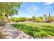 Community green space featuring lush grass, mature shade trees, and a paved walking path for residents at 517 Spruce Canyon St, Las Vegas, NV 89144