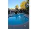 A clean community pool surrounded by trees, lounge chairs, and covered tables for relaxing poolside at 555 E Silverado Ranch Blvd # 2028, Las Vegas, NV 89183