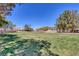 Expansive grassy common area offers green space for recreation and relaxation at 5808 Spinnaker Reach Ave, Las Vegas, NV 89130