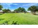 Well-maintained community park, providing plenty of green space and seating areas for relaxation at 1612 Lefty Garcia Way, Henderson, NV 89002
