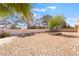 Spacious, low-maintenance backyard with mature trees and desert landscaping providing shade and tranquility at 2520 Springridge Dr, Las Vegas, NV 89134