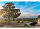 Expansive views of the golf course and city skyline, framed by mature trees and a clear blue sky at 2742 Darby Falls Dr, Las Vegas, NV 89134