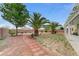 Backyard featuring mature trees, palm trees, and a pathway to the patio at 4910 Cielo Ct, Pahrump, NV 89061