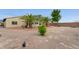 Backyard featuring mature trees, palm trees, and desert landscaping at 4910 Cielo Ct, Pahrump, NV 89061