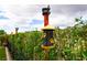 Cozy backyard featuring vibrant green hedge and bird feeders on red poles against a cloudy sky at 4914 E Beacon Ridge Dr, Pahrump, NV 89061