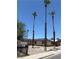 Inviting single-story home featuring desert landscaping, attached garage, and multiple tall palm trees at 681 Pine Ridge Dr, Las Vegas, NV 89110