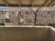 View of the building exterior through a screened-in patio at 7300 Pirates Cove Rd # 2045, Las Vegas, NV 89145