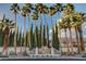 Elegant entrance to the Pelican Point community lined with towering palm trees and manicured landscaping at 8052 Marbella Cir, Las Vegas, NV 89128