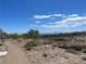 View of community walking path with desert landscaping and neighborhood at 11593 Cedar Shore Ave, Las Vegas, NV 89138