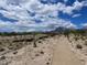 Picture of a community walking path surrounded by desert landscaping at 11593 Cedar Shore Ave, Las Vegas, NV 89138