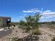 View of community walking path, desert landscaping, and nearby homes at 11593 Cedar Shore Ave, Las Vegas, NV 89138