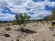 Community walking path through desert landscaping at 11593 Cedar Shore Ave, Las Vegas, NV 89138