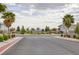 Serene street view with well-maintained landscaping and inviting community ambiance at 1401 Cattail Falls St, Boulder City, NV 89005