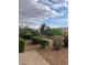Backyard with beautiful desert landscaping, lush shrubs, and paved brick at 32 Via Vasari # 103, Henderson, NV 89011
