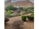 Backyard landscaping with mature trees and shrubs with mountain view at 32 Via Vasari # 103, Henderson, NV 89011