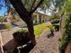 Nicely landscaped backyard featuring manicured green grass, stone and a mature shade tree offering a private outdoor space at 6134 Burleson Ranch Rd, Las Vegas, NV 89131