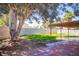 Expansive backyard featuring a large tree, wooden pergola, and a brick patio area at 684 Whispering Palms Dr, Las Vegas, NV 89123