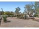 Expansive backyard featuring mature trees and ample space for outdoor activities at 4075 W Torino Ave, Las Vegas, NV 89139