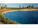 Scenic pond view with a golf course and trees around the perimeter at 77 Tardando St, Henderson, NV 89015