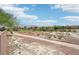 Picturesque community trail surrounded by desert vegetation offers residents a serene outdoor experience at 8316 Imperial Lakes St, Las Vegas, NV 89131