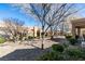 Beautiful home with a low-maintenance yard with mature trees and desert landscaping at 8808 Litchfield Ave, Las Vegas, NV 89134