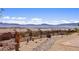 The backyard features desert landscaping, mountain views, and decorative desert art at 1424 Pin Cushion Rdg, Mesquite, NV 89034