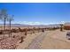 The backyard features views of the mountains and desert landscaping at 1424 Pin Cushion Rdg, Mesquite, NV 89034