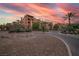Beautiful building exterior featuring mature palm trees, colorful sky, and lush landscaping at 20 Via Mantova # 306, Henderson, NV 89011