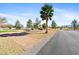Exterior shot of a desert landscape, palm trees, and a paved driveway at 2500 S Zephyr Ave, Pahrump, NV 89048