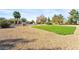 Single-story home with a grassy lawn, desert landscape, and palm trees at 2500 S Zephyr Ave, Pahrump, NV 89048