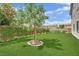 Spacious backyard featuring a lush green lawn and mature tree, offering a serene outdoor space at 7211 Heggie Ave, Las Vegas, NV 89131