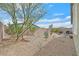 Spacious backyard featuring desert landscaping, mature trees, and a cozy seating area, ideal for outdoor enjoyment at 7910 Pearly Ct, North Las Vegas, NV 89084