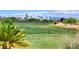 Scenic view of the golf course and driving range with palm trees and manicured grounds at 10562 Cerotto Ln, Las Vegas, NV 89135