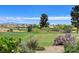 Scenic view of the lush golf course, featuring mature trees and well-maintained greens at 10562 Cerotto Ln, Las Vegas, NV 89135