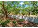 View of backyard landscaping and a perimeter block wall at 2486 Sabado St, Las Vegas, NV 89121