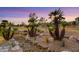 The backyard shows desert landscaping and a view of the golf course at 2621 Spalding Dr, Las Vegas, NV 89134