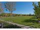 Expansive green space area surrounded by lush trees and well-maintained landscaping at 3179 Mura Del Prato Ave, Henderson, NV 89044