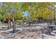 A picturesque picnic area with tables and lush trees, perfect for outdoor gatherings at 3179 Mura Del Prato Ave, Henderson, NV 89044