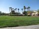 Expansive green space perfect for recreation, featuring lush grass, tall palm trees, and manicured landscaping in the community at 3208 Regal Swan Pl # 3, North Las Vegas, NV 89084
