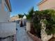 Exterior view of backyard featuring palm trees, manicured hedges, and a walkway at 529 Rancho Del Mar Way, North Las Vegas, NV 89031