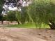 Expansive yard with mature trees, lush greenery, and well-maintained landscaping in a peaceful setting at 5381 Waving Sage Dr, Las Vegas, NV 89149