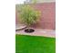 Charming backyard with a decorative tree, artificial turf, and stylish lighting for a serene outdoor space at 5627 Spanish Valor Rd, Las Vegas, NV 89135