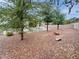 Private backyard featuring a paved patio, manicured trees and low-maintenance yard at 2557 Terrytown Ave, Henderson, NV 89052