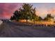 Picturesque landscape features mature trees, custom rock border, and ample parking at 6931 Leon Ave, Las Vegas, NV 89131